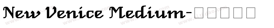 New Venice Medium字体转换